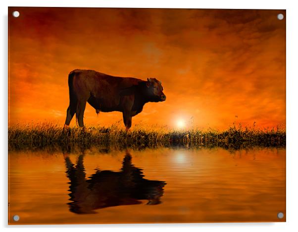 Into the Sunset Acrylic by Mike Sherman Photog