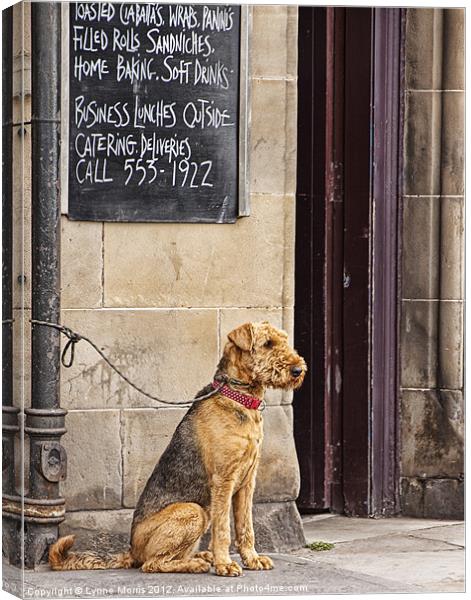 Lunch Time? Canvas Print by Lynne Morris (Lswpp)