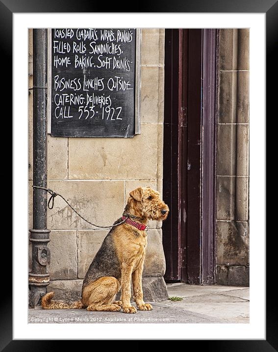 Lunch Time? Framed Mounted Print by Lynne Morris (Lswpp)