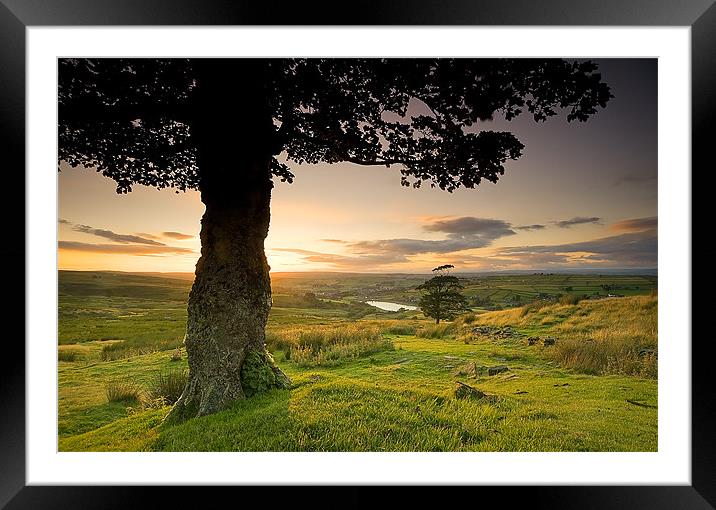 Under the Greenwood Tree Framed Mounted Print by peter jeffreys