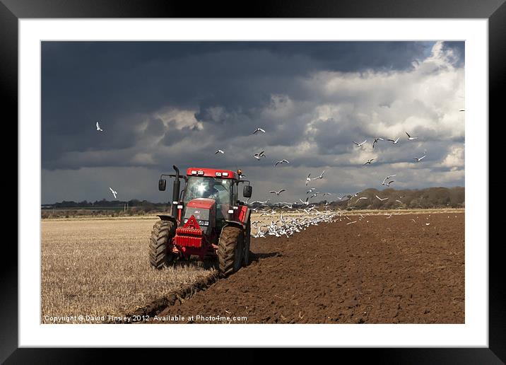 Red Tractor Framed Mounted Print by David Tinsley