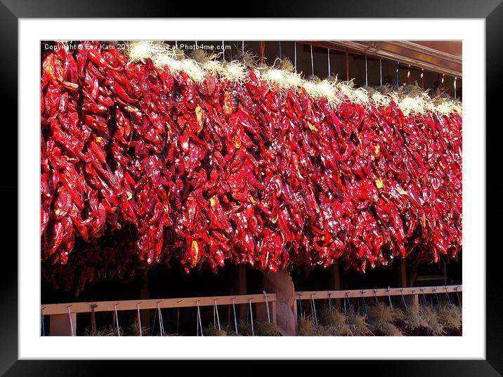 Red Ristras Framed Mounted Print by Eva Kato