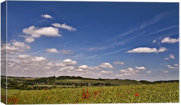 Further Afield Canvas Print by Dawn Cox