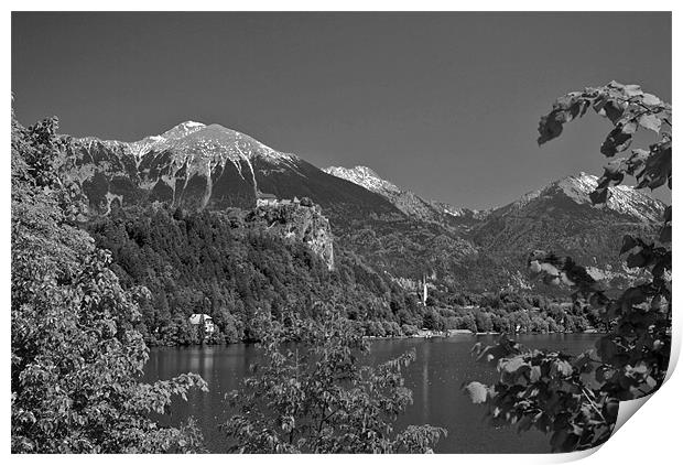 Lake Bled Print by Alan Pickersgill