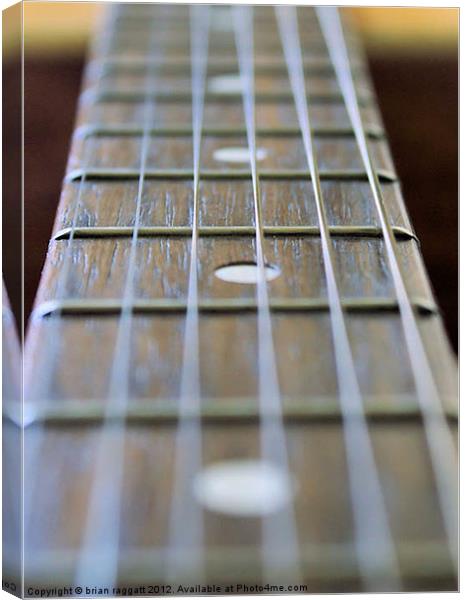 Guitar Neck and Strings Canvas Print by Brian  Raggatt