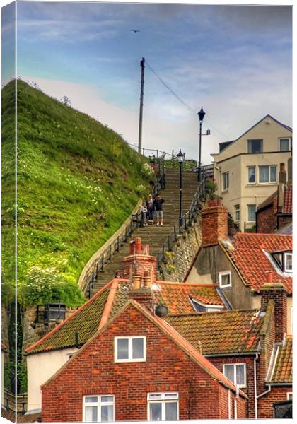 Middle of the Whitby Steps Canvas Print by Tom Gomez