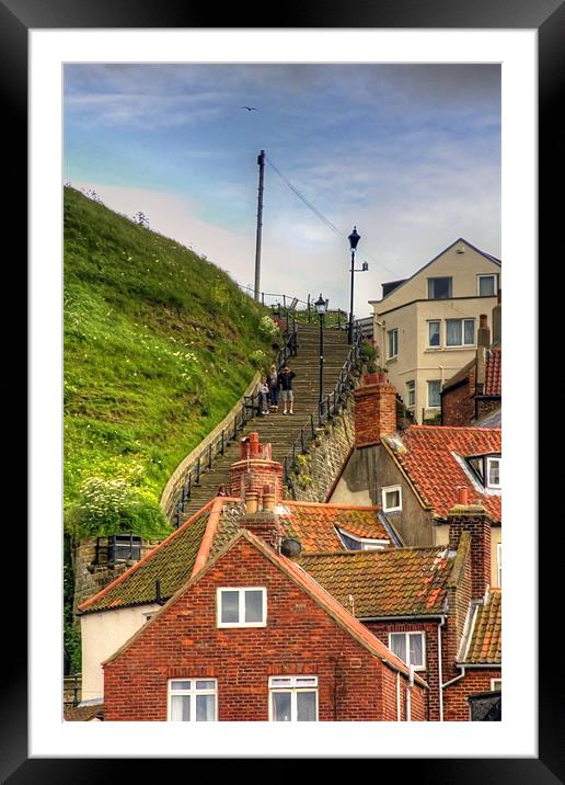 Middle of the Whitby Steps Framed Mounted Print by Tom Gomez