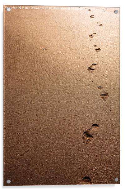 Footprints in the sand Acrylic by Canvas Landscape Peter O'Connor