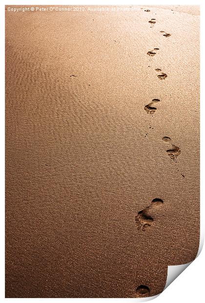 Footprints in the sand Print by Canvas Landscape Peter O'Connor