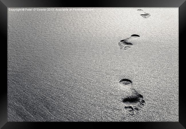 Platinum Footprints in Sand Framed Print by Canvas Landscape Peter O'Connor