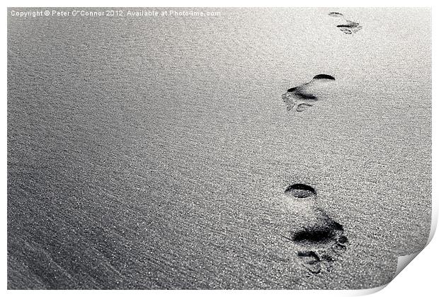 Platinum Footprints in Sand Print by Canvas Landscape Peter O'Connor