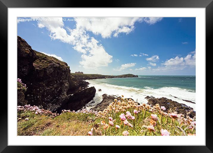 Newquay Headland Framed Mounted Print by Canvas Landscape Peter O'Connor