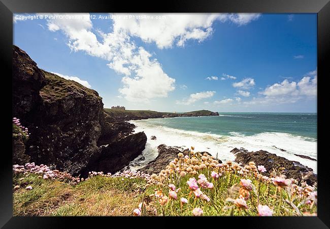 Newquay Headland Framed Print by Canvas Landscape Peter O'Connor