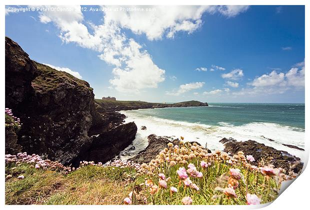Newquay Headland Print by Canvas Landscape Peter O'Connor