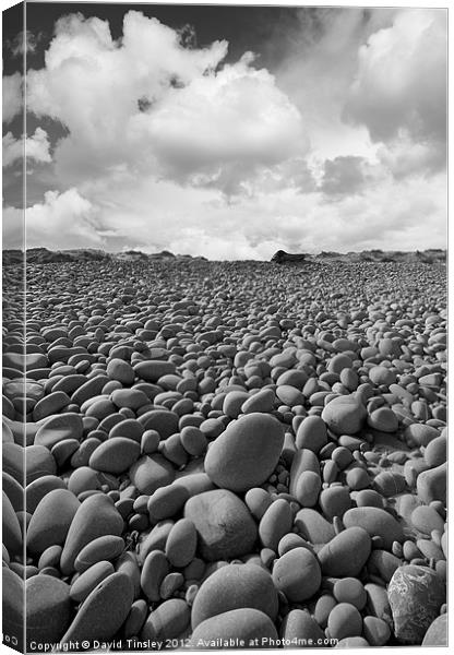 Pebbles Canvas Print by David Tinsley