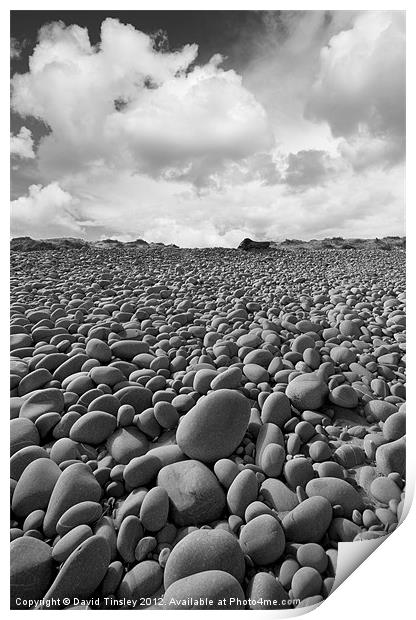 Pebbles Print by David Tinsley