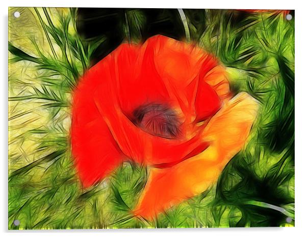 Fractalius Poppy Acrylic by Sharon Lisa Clarke