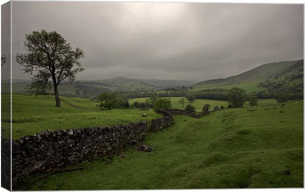 Peak District National Park Canvas Print by Darren Burroughs