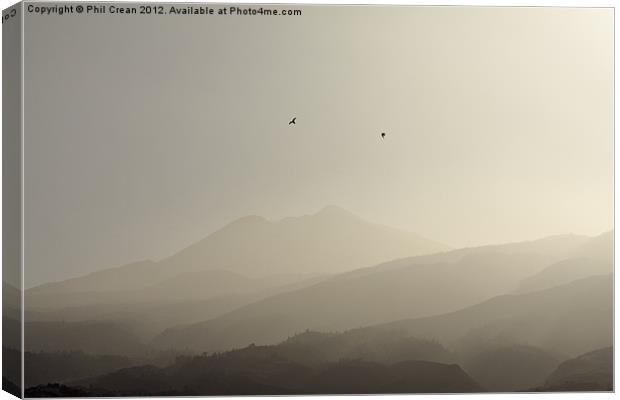 Misty morning birds and Teide, Tenerife Canvas Print by Phil Crean