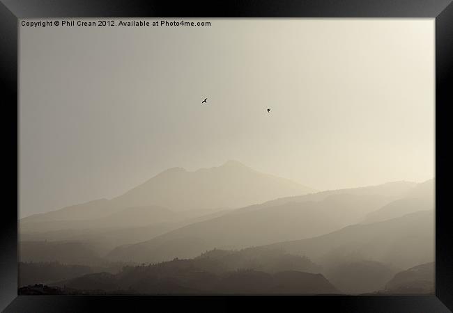 Misty morning birds and Teide, Tenerife Framed Print by Phil Crean