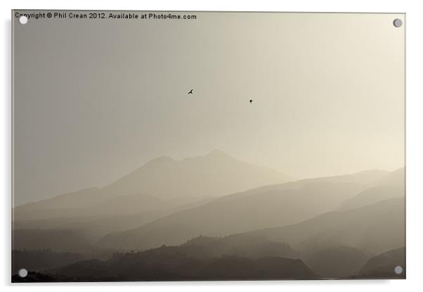 Misty morning birds and Teide, Tenerife Acrylic by Phil Crean