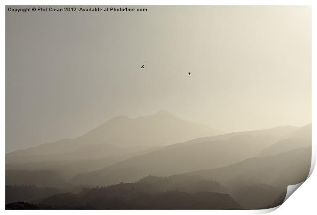 Misty morning birds and Teide, Tenerife Print by Phil Crean