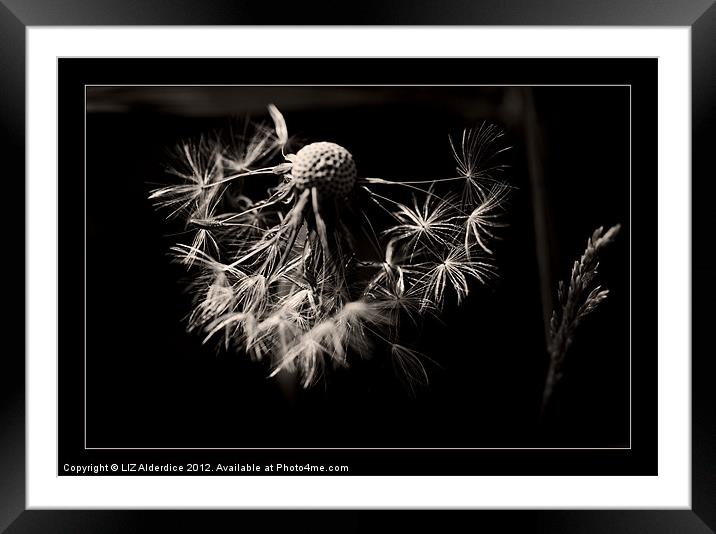 Time to Fly Framed Mounted Print by LIZ Alderdice