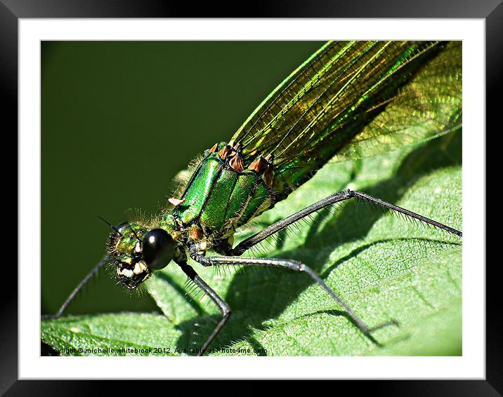 My Emerald Friend Framed Mounted Print by michelle whitebrook