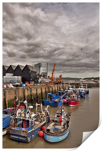 Whitstable Harbour Print by Dawn Cox