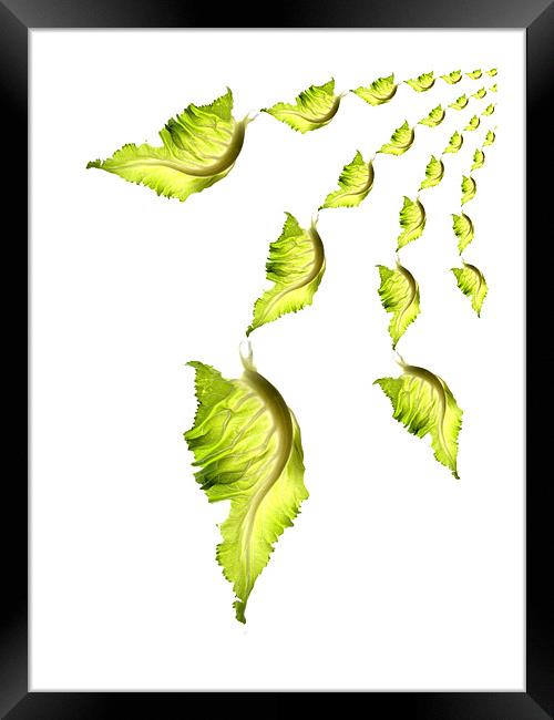 flying leaves Framed Print by Heather Newton