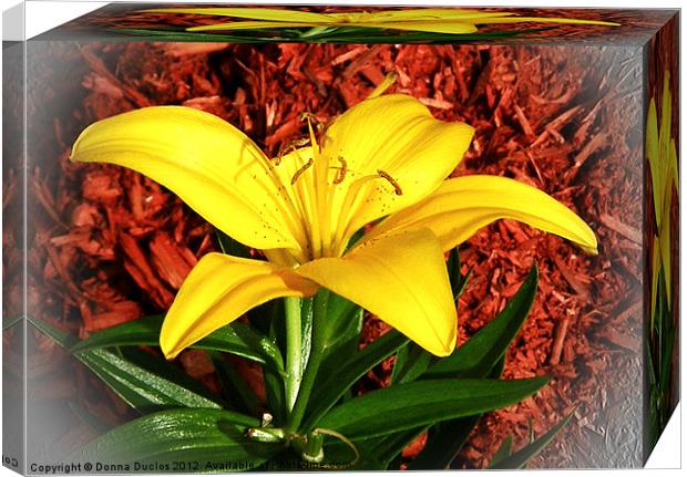 Yellow Lilly Canvas Print by Donna Duclos
