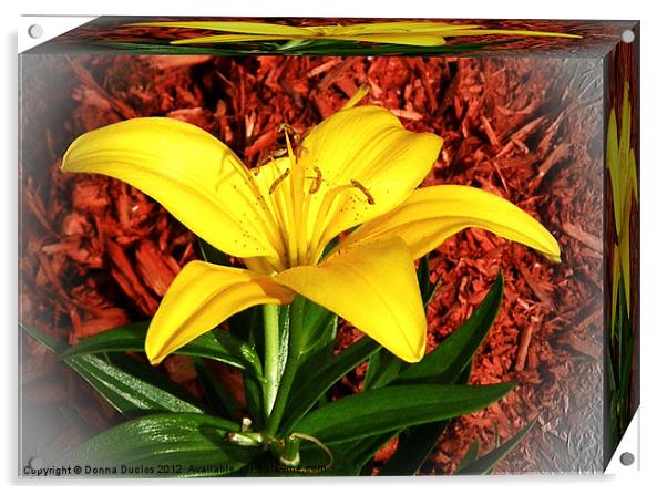 Yellow Lilly Acrylic by Donna Duclos
