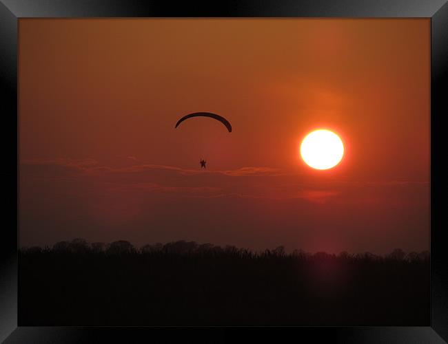 air gliding sunset Framed Print by isaac ford