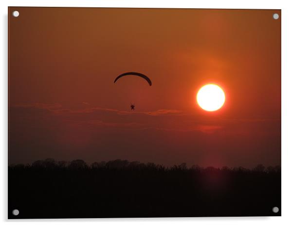 air gliding sunset Acrylic by isaac ford