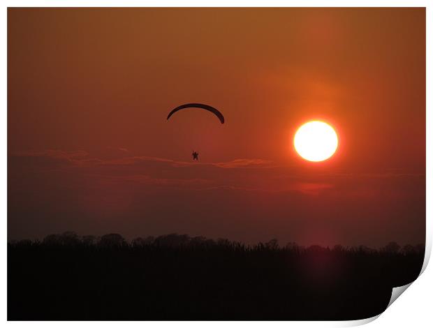 air gliding sunset Print by isaac ford