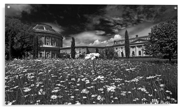 From The Daisies. Ickworth House Acrylic by Darren Burroughs
