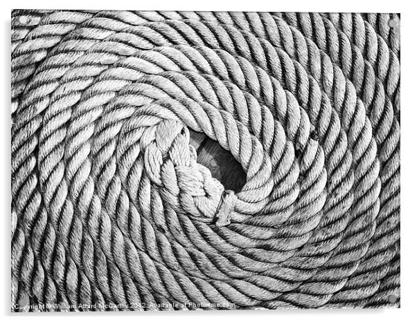 Twirled Rope Acrylic by William AttardMcCarthy