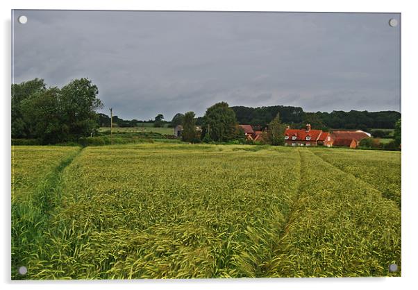 barley field Acrylic by carl blake