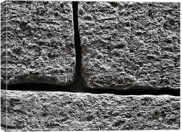 Masonry and Wall Texture Canvas Print by William AttardMcCarthy