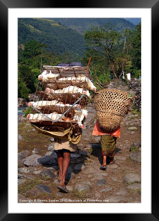 Man Carrying Chickens near Birethanti Framed Mounted Print by Serena Bowles