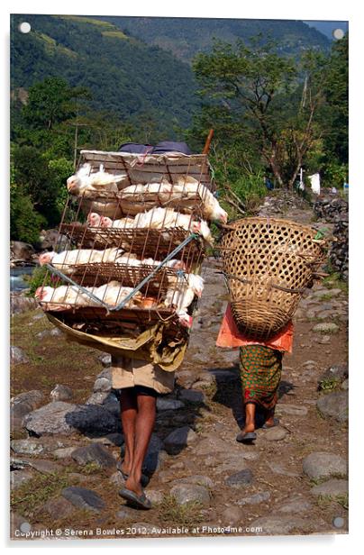 Man Carrying Chickens near Birethanti Acrylic by Serena Bowles