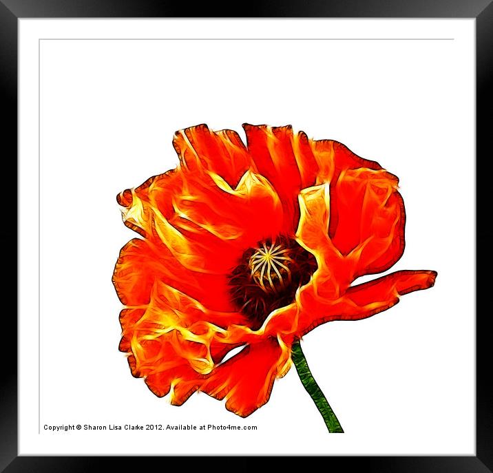Electric Poppy Framed Mounted Print by Sharon Lisa Clarke