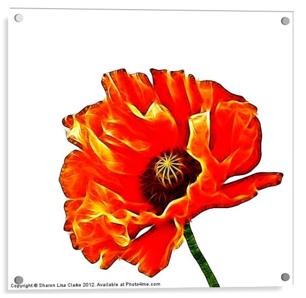 Electric Poppy Acrylic by Sharon Lisa Clarke