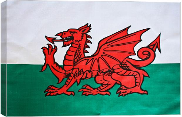 The Welsh Dragon Canvas Print by Steve Purnell