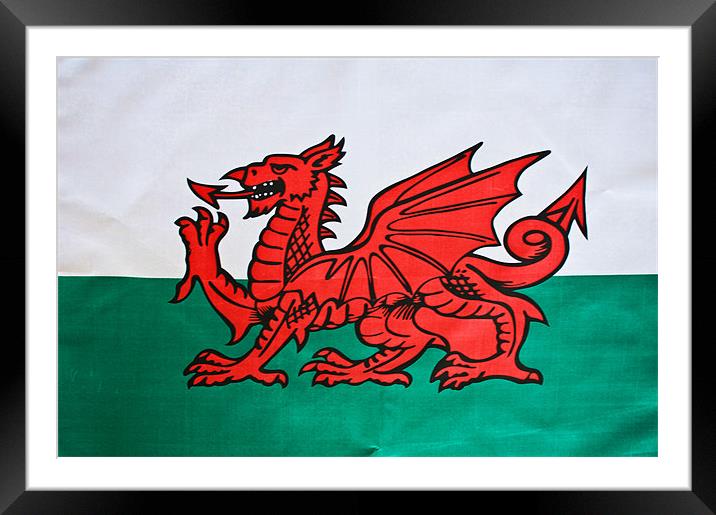 The Welsh Dragon Framed Mounted Print by Steve Purnell