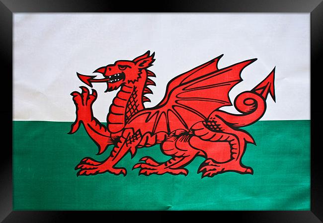 The Welsh Dragon Framed Print by Steve Purnell