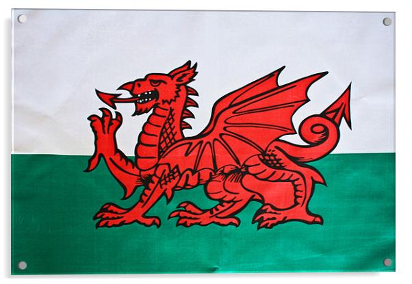 The Welsh Dragon Acrylic by Steve Purnell