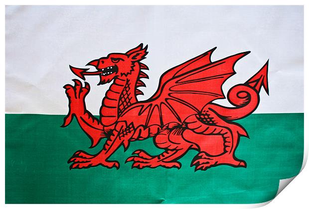 The Welsh Dragon Print by Steve Purnell