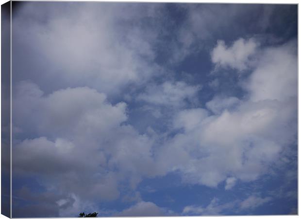 Cloudwatching Canvas Print by Daniel West