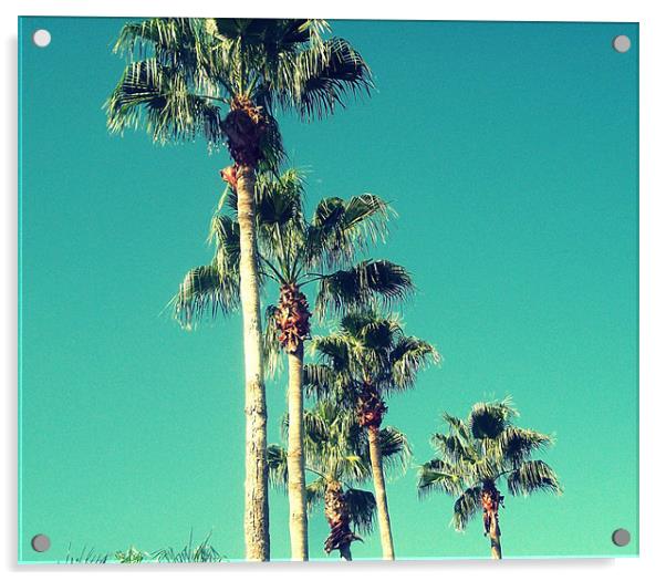 Florida Palms. Acrylic by Gemma Page